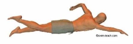 swim-front-crawl-technique-2.jpg swim-front-crawl-technique-2.jpg