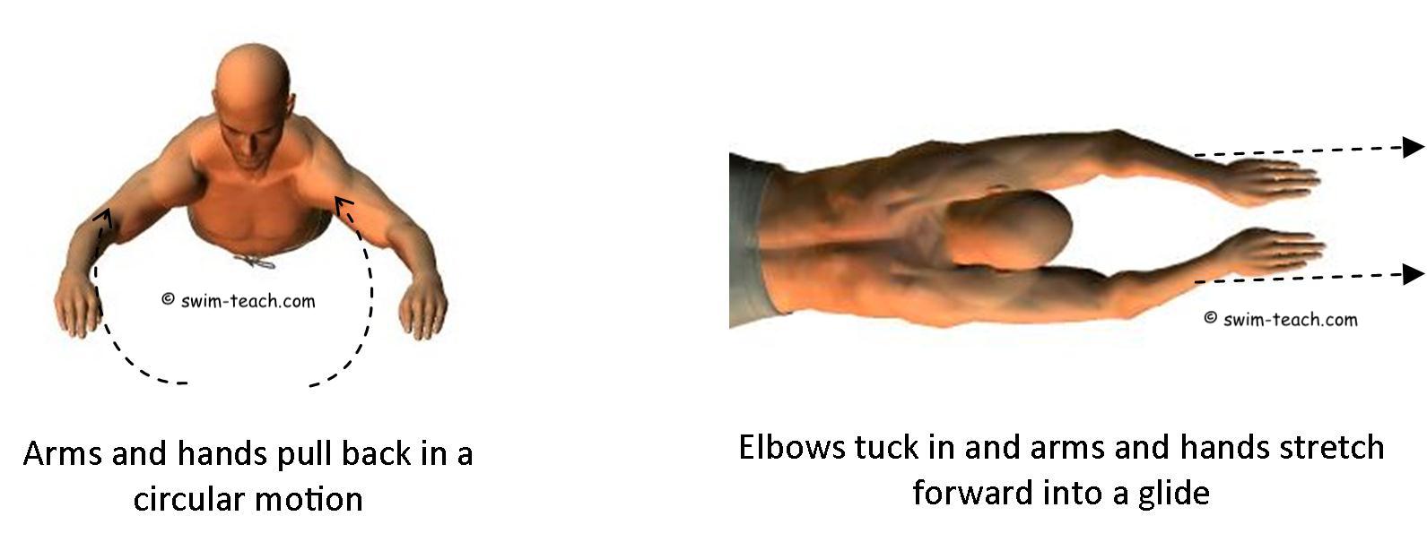 Correct breaststroke arm pull technique
