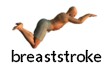 Basic breaststroke technique for beginners.