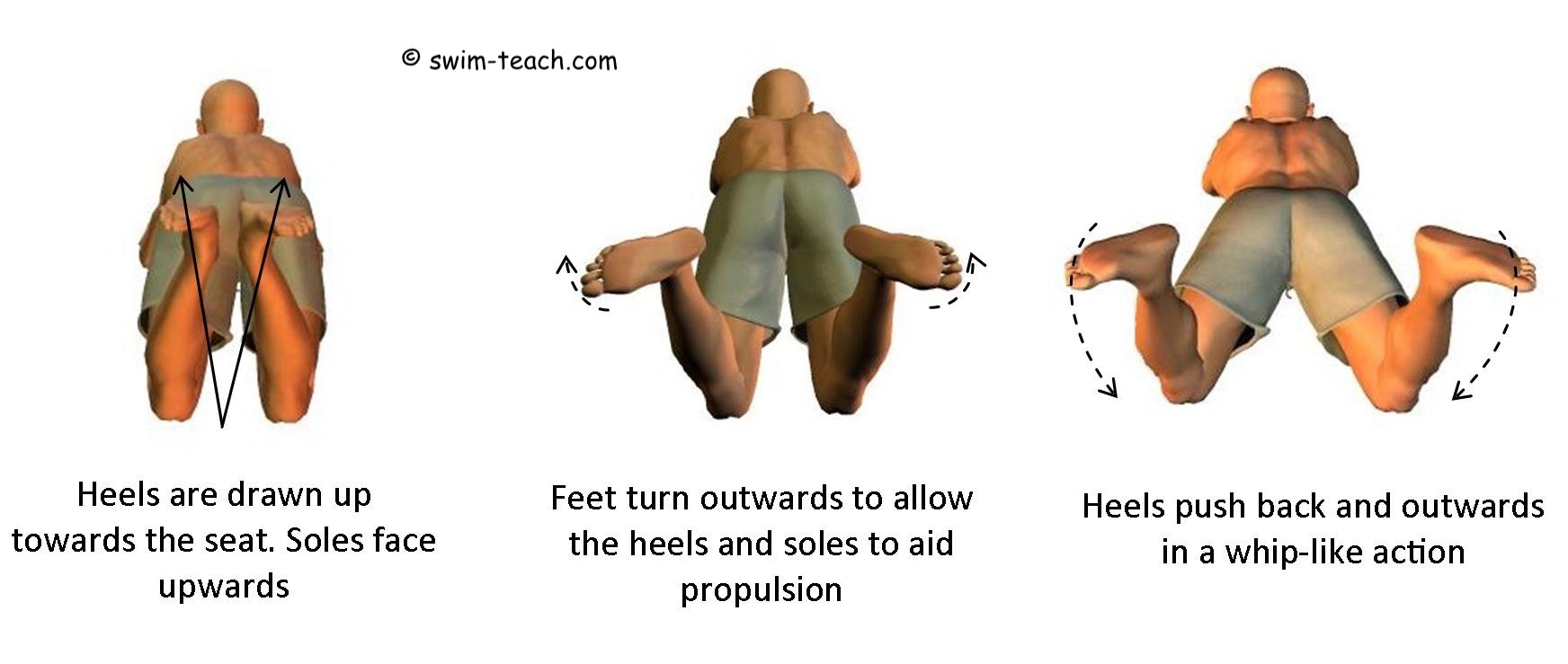 Swimcore - Learn The Correct Breaststroke Technique To Improve Your Swimming In Water. 👉 Your Body Position Should Be With Your Head Facing Forward In Line With Your Body. 👉 Keep Your