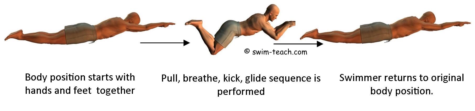 breaststroke timing