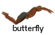 butterfly stroke technique