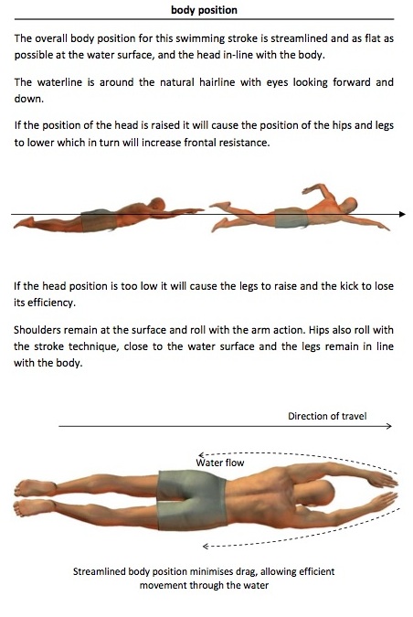 Freestyle Swimming Technique Stroke How To Swim The Front Crawl Your