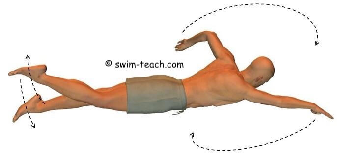 Front Crawl Timing of Arms, Legs and Breathing. What works for you?