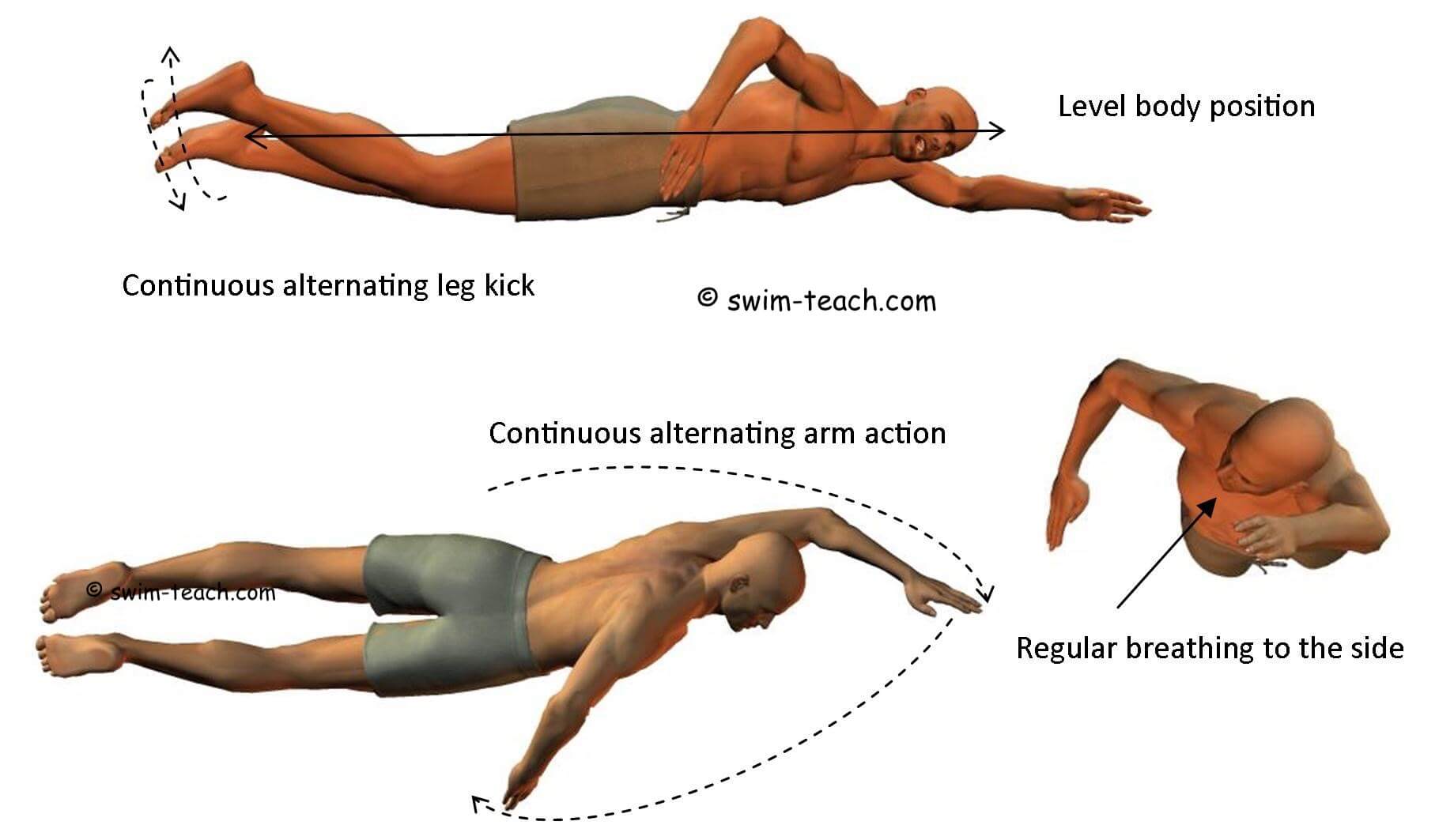 How To Swim Front Crawl - 12 Crucial Points For Perfect Technique