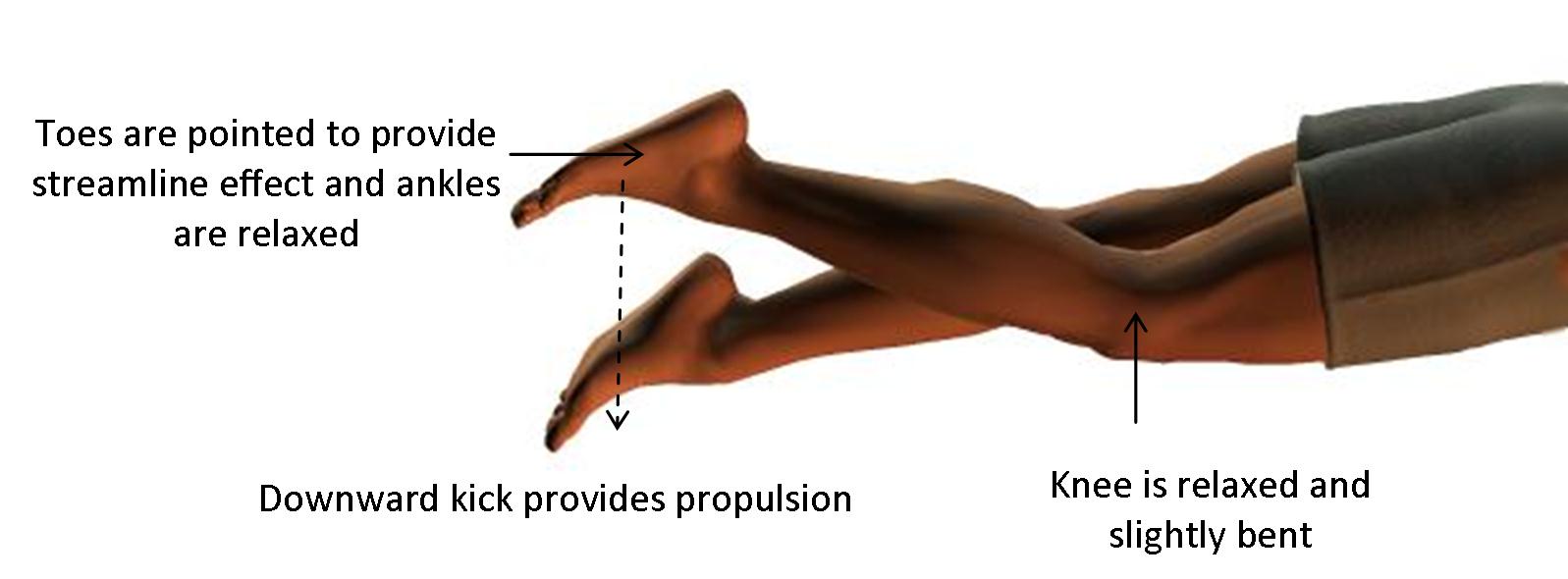 front crawl technique