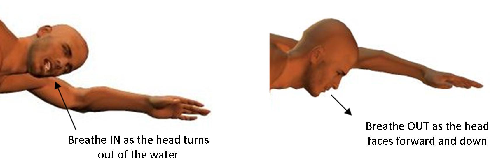 front crawl technique