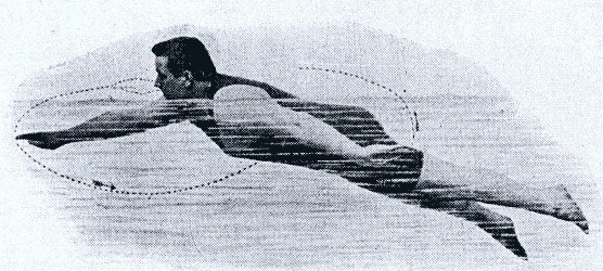 The History of Swimming - Where Has Modern Swimming Come From?