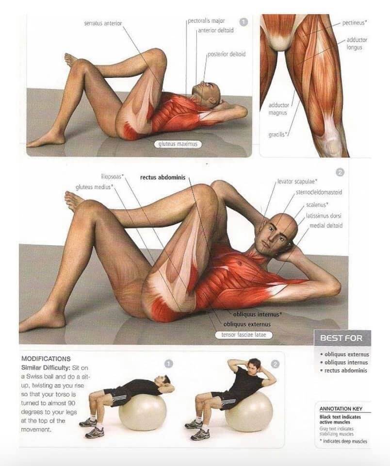 dryland swimming exercises to help support core strength in swimmers