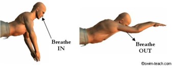 breaststroke breathing