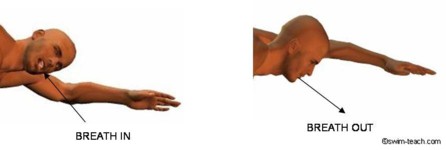 Front Crawl Breathing Technique Made Easier