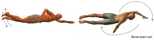 front crawl technique timing