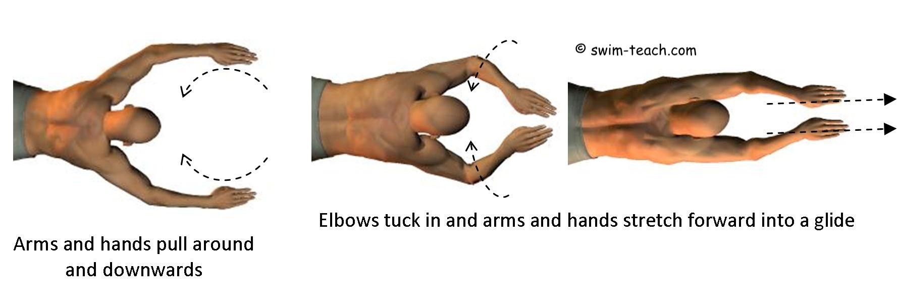 Improve Your Breaststroke Swimming Technique Today