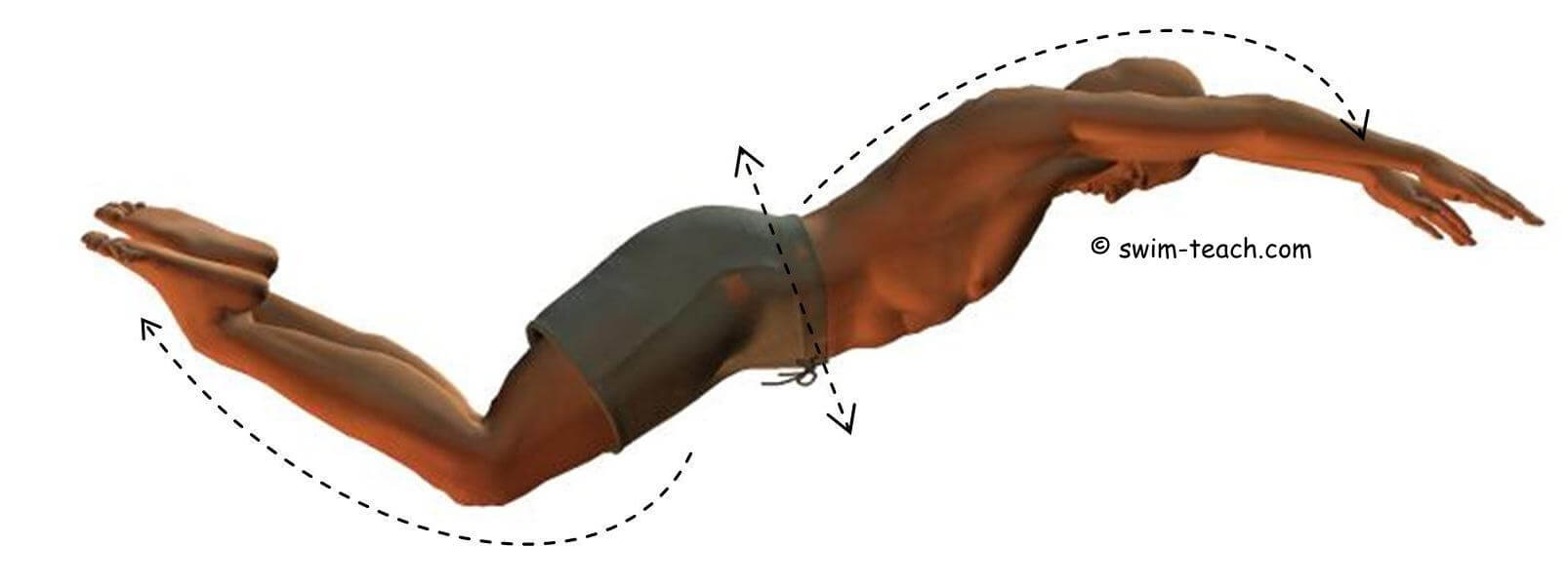 Basic Butterfly Stroke Broken Down and Made Easy