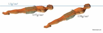 body fat percentage to sink in water body fat percentage to sink in water