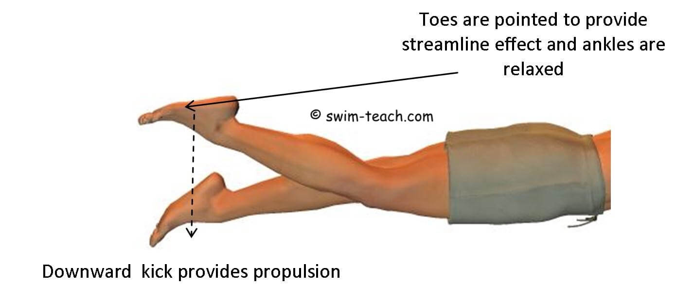 Front Crawl Kicking A Beginners Guide To Avoiding Common Mistakes