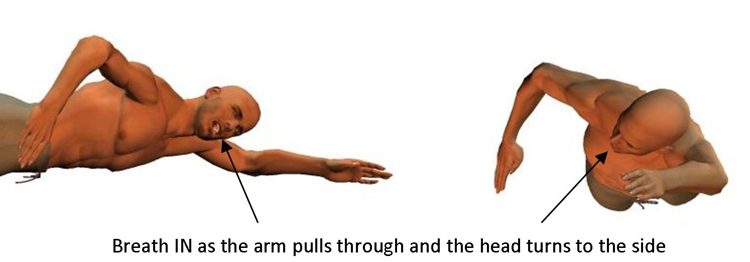 front crawl technique