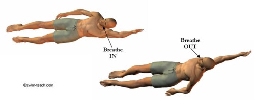 How Backstroke Breathing Fits Into Your Swimming Technique