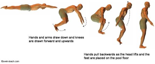 standing from a face down swimming position